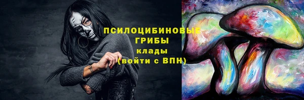 a pvp Касимов