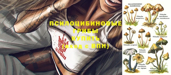 СК Карпинск