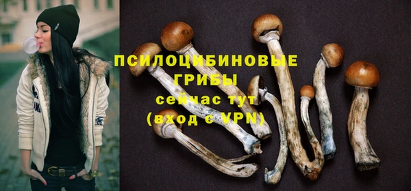 a pvp Касимов