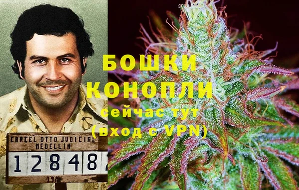 СК Карпинск