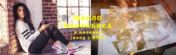 амф Каменка