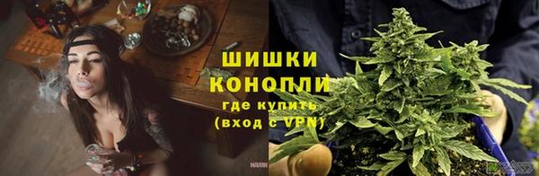 a pvp Касимов
