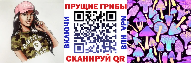 Галлюциногенные грибы Cubensis Чебаркуль